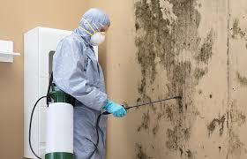 Best Residential Mold Inspection & Testing  in Crandall, TX